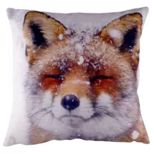 Image of Portrait Fox Cushion Multicolour