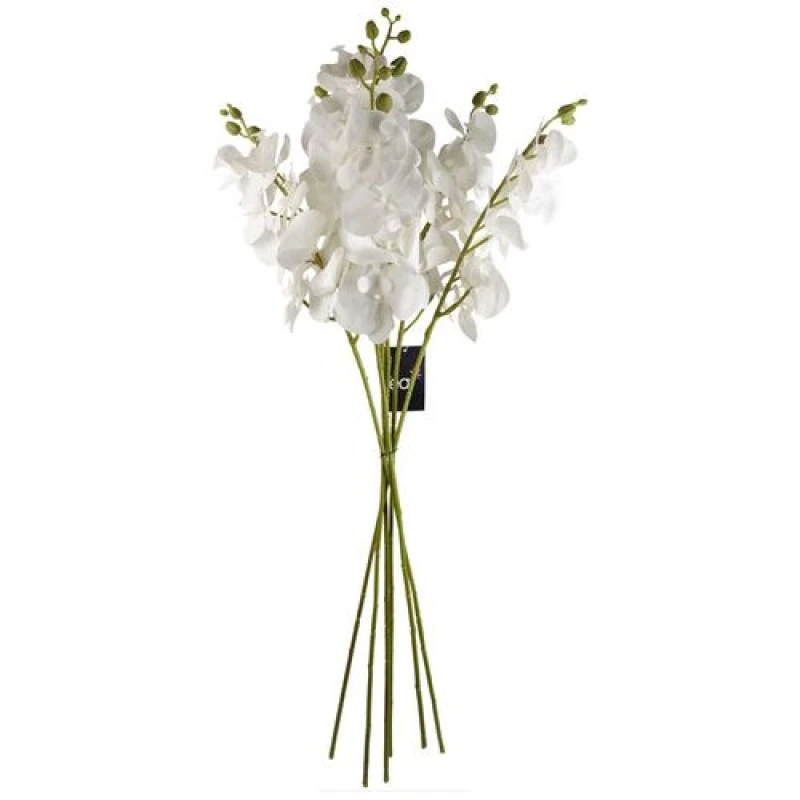 Image of Leaf Pack of 6 x 100cm Artificial Phalaenopsis Orchid White Stem