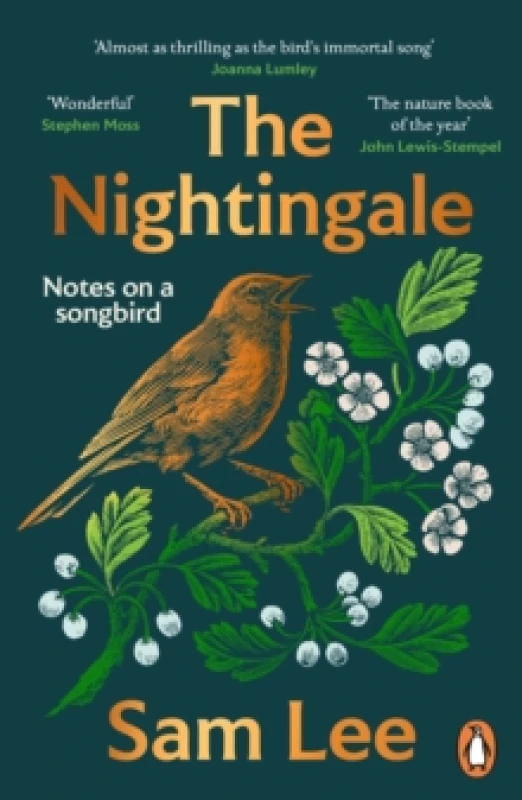 Image of The Nightingale : The nature book of the year Paperback / softback