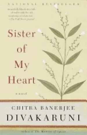 Image of sister of my heart a novel