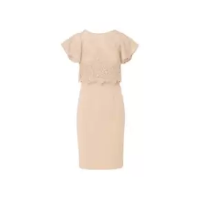 Image of Adrianna Papell Sequin Guipure Crepe Dress - Pink