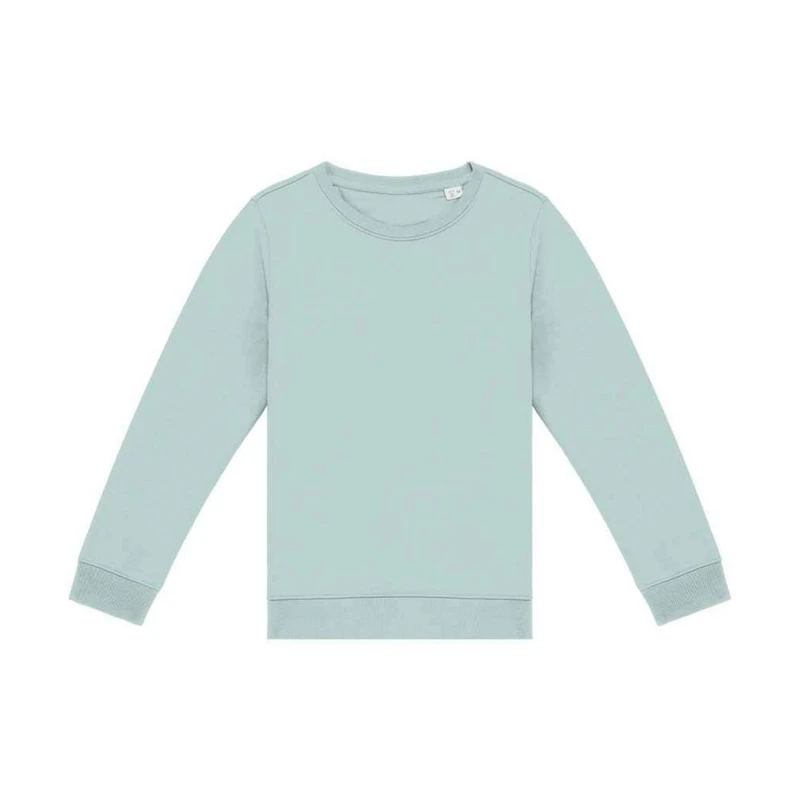Image of Native Spirit PC5120 boys's Children's sweater in Multicolour