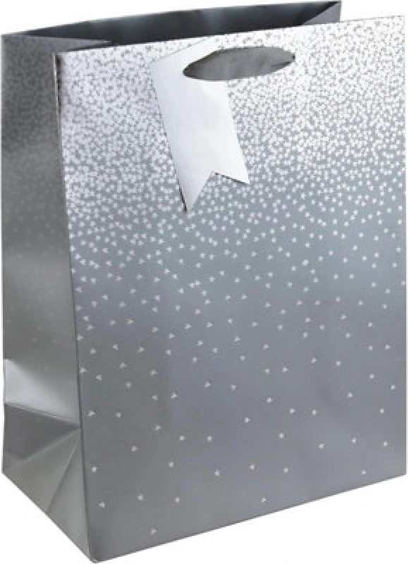 Image of Eurowrap Gift Bag Silver Ombre Large (Pack of 6) 30864-2C