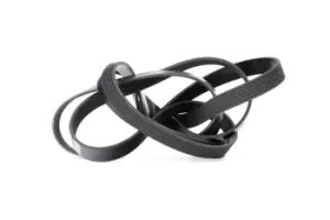 Image of DAYCO V-ribbed belt VW,AUDI,MERCEDES-BENZ 6PK2460 059903137AB,059903137AS,059903137P 06E903137C,06E903137N,077903137B,077903137D,077903137E,4861322