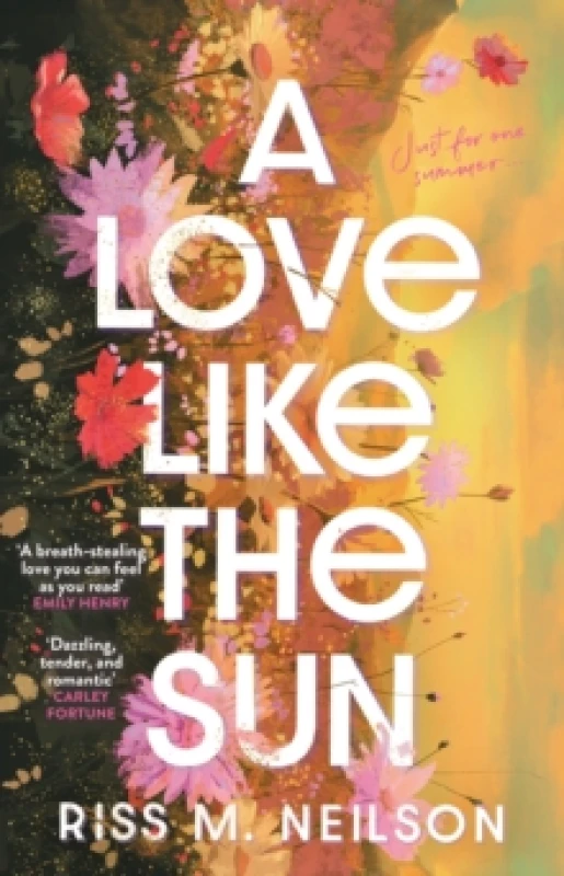 Image of A Love Like the Sun : The tender and unforgettable romantic debut Paperback / softback