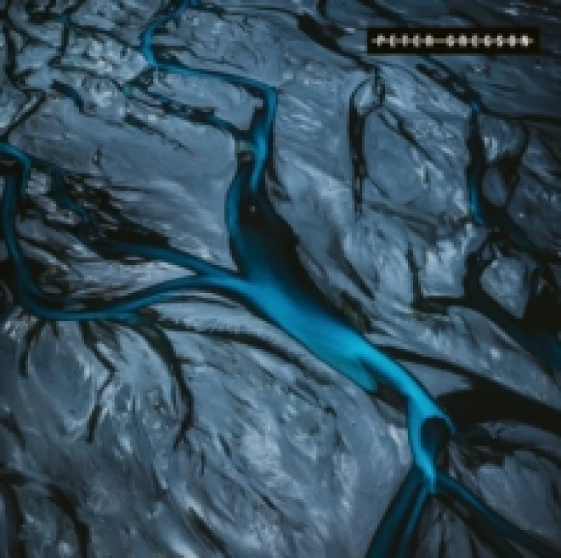 Image of Peter Gregson: Patina Vinyl