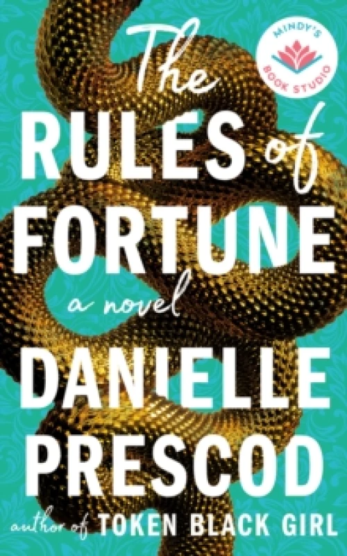 Image of The Rules of Fortune : A Novel Hardback