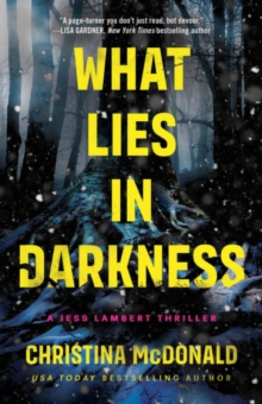Image of What Lies in Darkness Paperback / softback