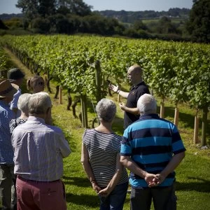 Image of Red Letter Days Garden of England Vineyard Escape for Two