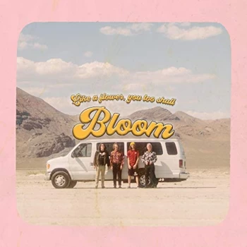 Image of Carpool Tunnel - Bloom Vinyl