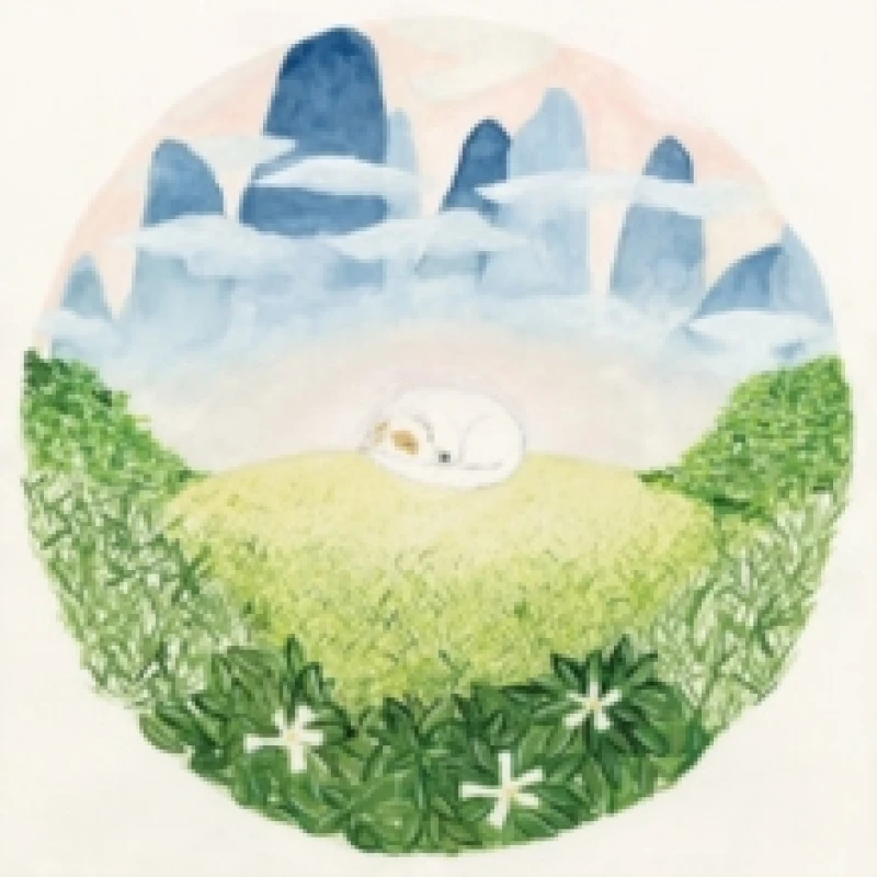 Image of Songs for sleeping dogs Vinyl