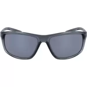 Image of Nike Adrenaline S/G 10 - Grey