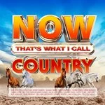 Image of Various Artists - NOW Thats What I Call Country (Music CD)