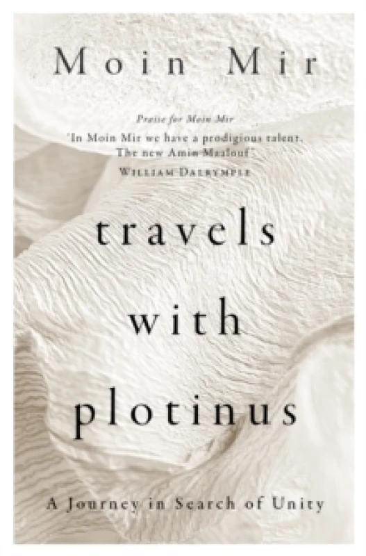 Image of Travels with Plotinus : A Journey in Search of Unity Hardback