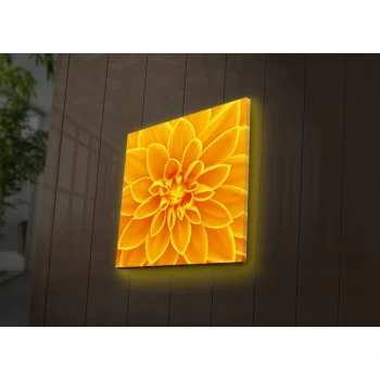 Image of 4040DACT-31 Multicolor Decorative LED Lighted Canvas Painting