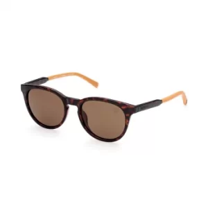 Image of Timberland Marcolin Round Sunglasses In Brown Brown Men, Size ONE