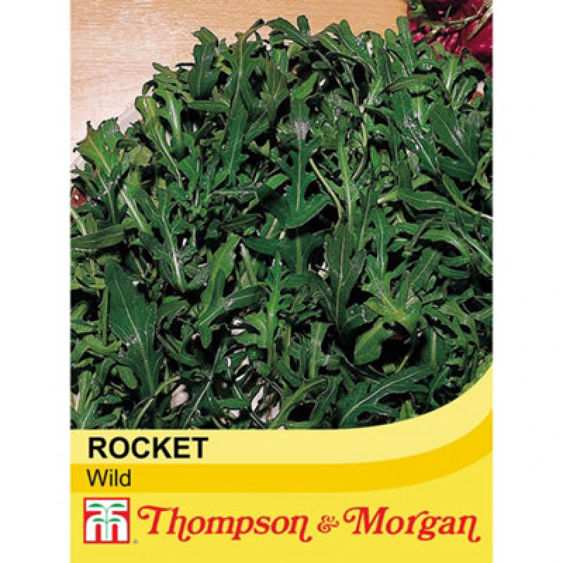 Image of Thompson & Morgan Salad Leaves Wild Rocket 1 Seed Packet (500 Seeds)