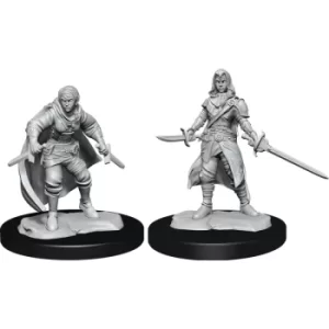 Image of D&D Nolzur's Marvelous Unpainted Miniatures (W14) Half-Elf Rogue Female