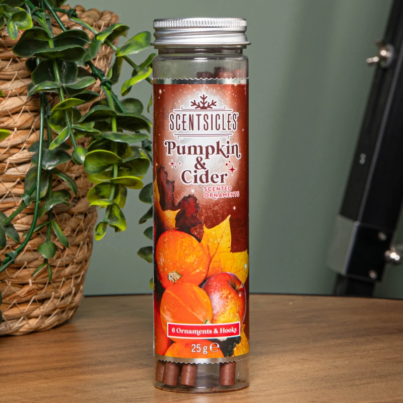 Image of 25g Pumpkin and Cider Scented Christmas Scentsicles with 6 Hanging Hooks