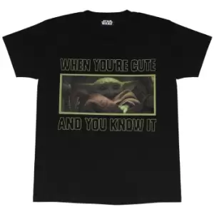 Image of Star Wars: The Mandalorian Mens The Child Cute T-Shirt (L) (Black)