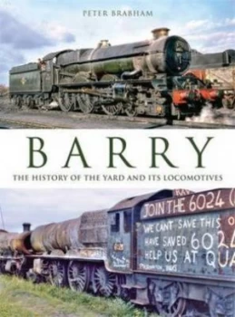 Image of Barry by Peter Brabham Book