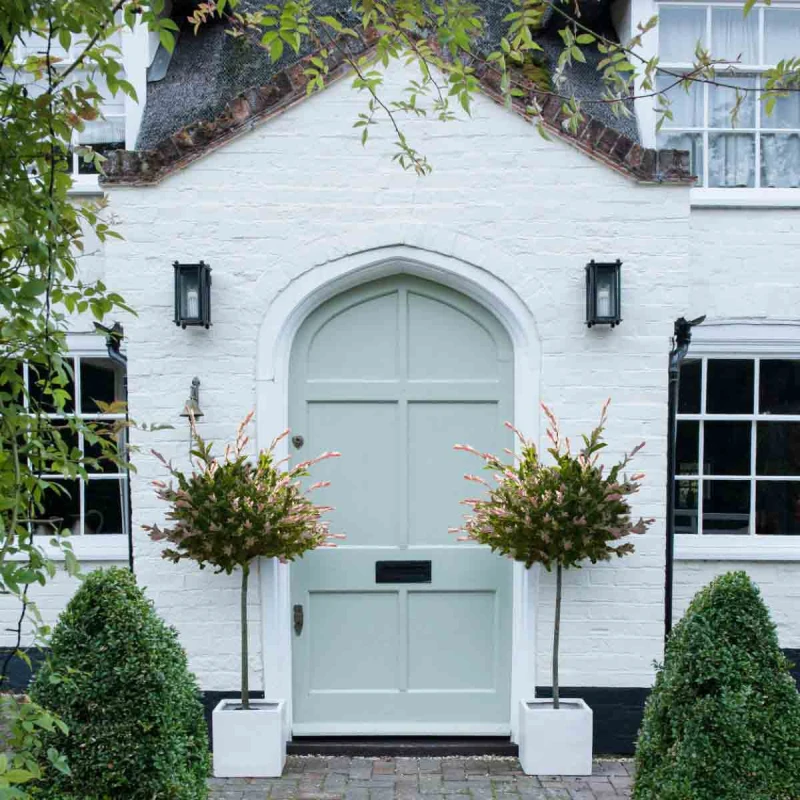 Image of Thompson & Morgan Salix Flamingo Tree - 17Cm Potted Plant (Standard) X 1 - Ideal For Containers & Garden Borders