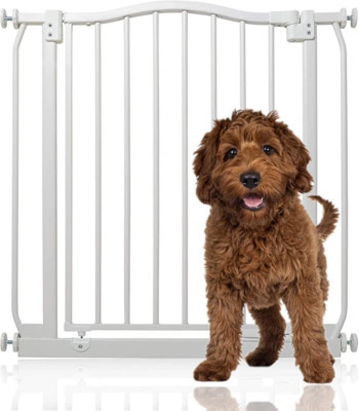Image of Bettacare Curved Top Dog Gate, 71Cm - 80Cm, Matt White, Pressure Fit Pet Gate For Dog And Puppy, Pet And Dog Barrier