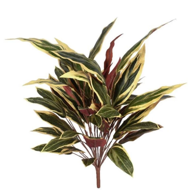 Image of N/A 90cm Fire Retardant Caladium Bush with white edge x15w/49Lvs