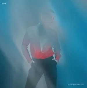 Image of INVSN Let the night love you LP multicolor