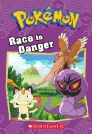 Image of race to danger