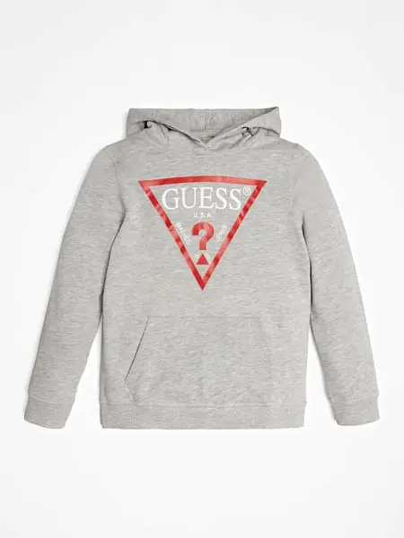 Image of Guess Kids Triangle Logo Hoodie Sweatshirt 14390781 Grey