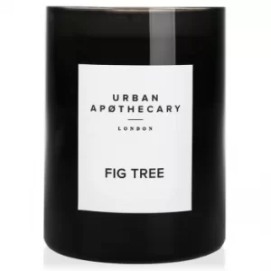 Image of Urban Apothecary Fig Tree Luxury Candle 300g