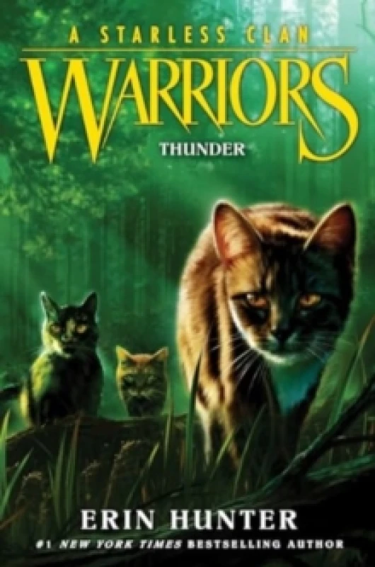 Image of Warriors: A Starless Clan #4: Thunder Paperback / softback
