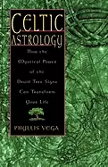 Image of celtic astrology how the mystical power of the druid tree signs can transfo