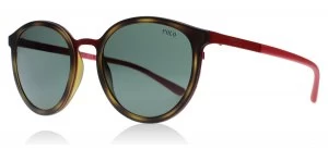 Image of Polo Ralph Lauren 3104 Sunglasses Tortoise / Red 931571 50mm