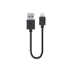 Image of Belkin Lightning to USB ChargeSync Cable - 6" - Black