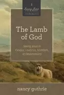 Image of lamb of god seeing jesus in exodus leviticus numbers and deuteronomy