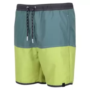 Image of Regatta Benicio Swim Short - SeaPne/GrnAl
