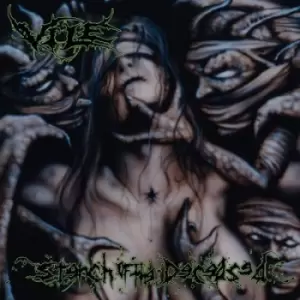 Image of Stench of the Deceased by Vile Vinyl Album