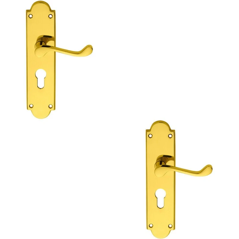 Image of Loops 2x PAIR Victorian Scroll Lever on Euro Lock Backplate 205 x 49mm Polished Brass Metallics