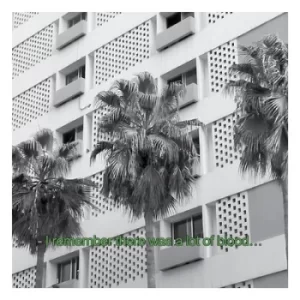 Image of Glitches and Drones 2013-2016 by The Bunny Tylers CD Album