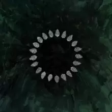 Image of Hold Sacred