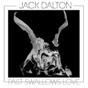 Image of Past Swallows Love by Jack Dalton Vinyl Album