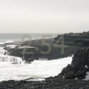 Image of 0254 by 02:54 CD Album