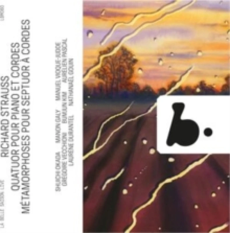 Image of Richard Strauss: Quatuor Pour Piano Et Cordes/... CD / Album
