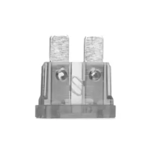 Image of Bosch Fuse 1 904 529 908 072581000307,A072581000307