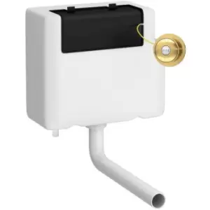Image of Concealed Cistern and Brushed Brass Traditional Round Dual Flush Button - XTY8T03B - Brushed Brass - Nuie