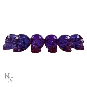 Image of Fluorite Pack Of 6 Skulls