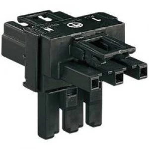 Image of Mains T distributor Mains plug Mains socket Mains socketTotal number of pins 2 PEBlackWAGO