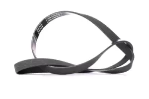 Image of RIDEX V-ribbed belt FORD,FIAT,PEUGEOT 305P0140 85523470,A113701315CA,A113701315CB 04891505AB,4891505AB,1633986380,5750EY,5750VF,5750Z9,9637529480